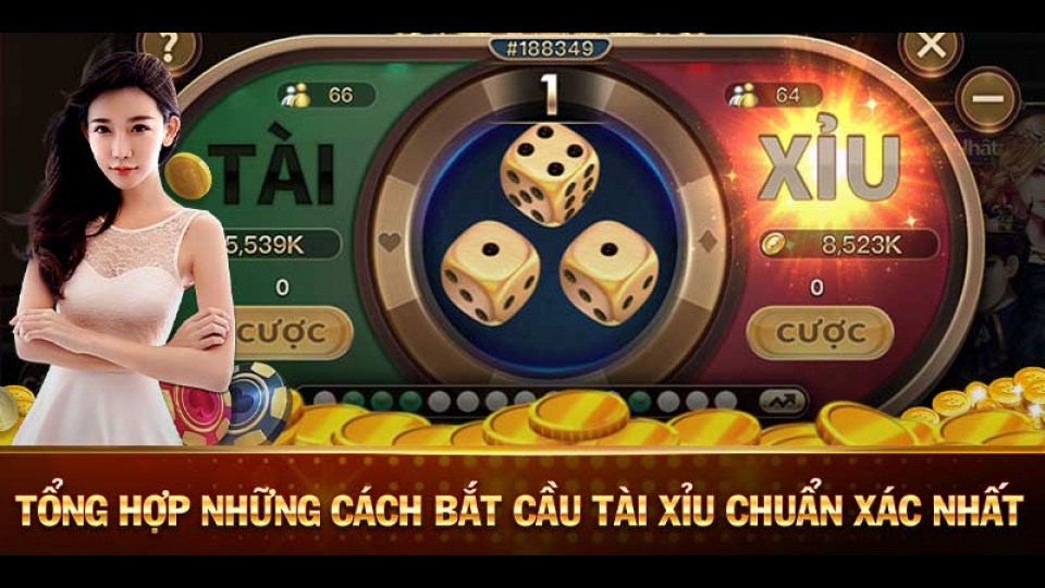 Khách Sạn Sunwin Hạ Long Khám Phá Thế Giới Chơi Đầy Hấp Dẫn Và Kỳ Diệu