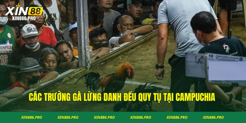 Khôi Phục Tài Khoản 188Bet Bùng Nổ Bí Quyết Chơi Game Online Đỉnh Cao Nhất