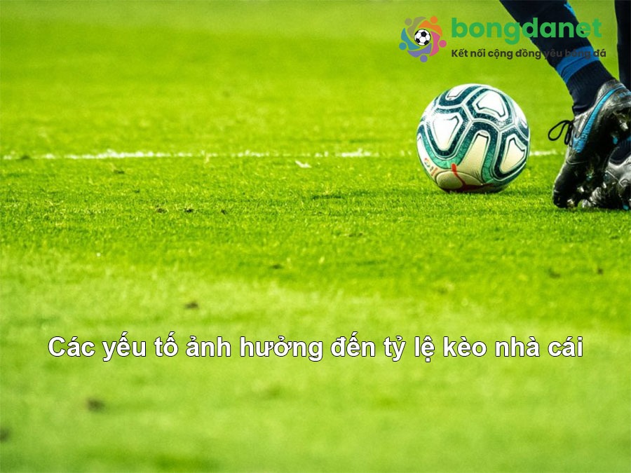 Hướng Dẫn Toàn Diện Về Review Cô To – Từ Cơ Bản Đến Nâng Cao