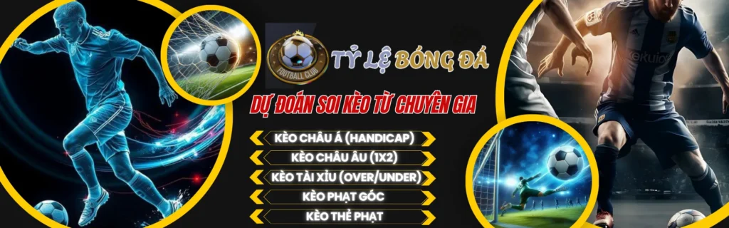 Khám Phá Địa Ốc Novaland Và Bí Quyết Đặt Cược Hiệu Quả